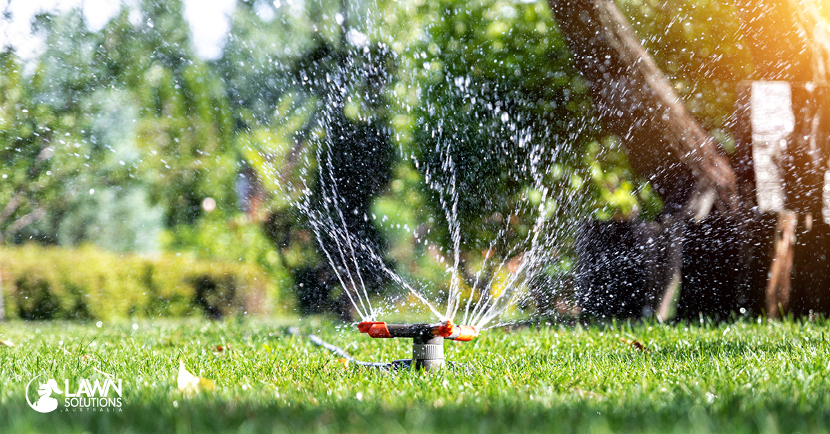 A Complete Guide for Watering Lawns