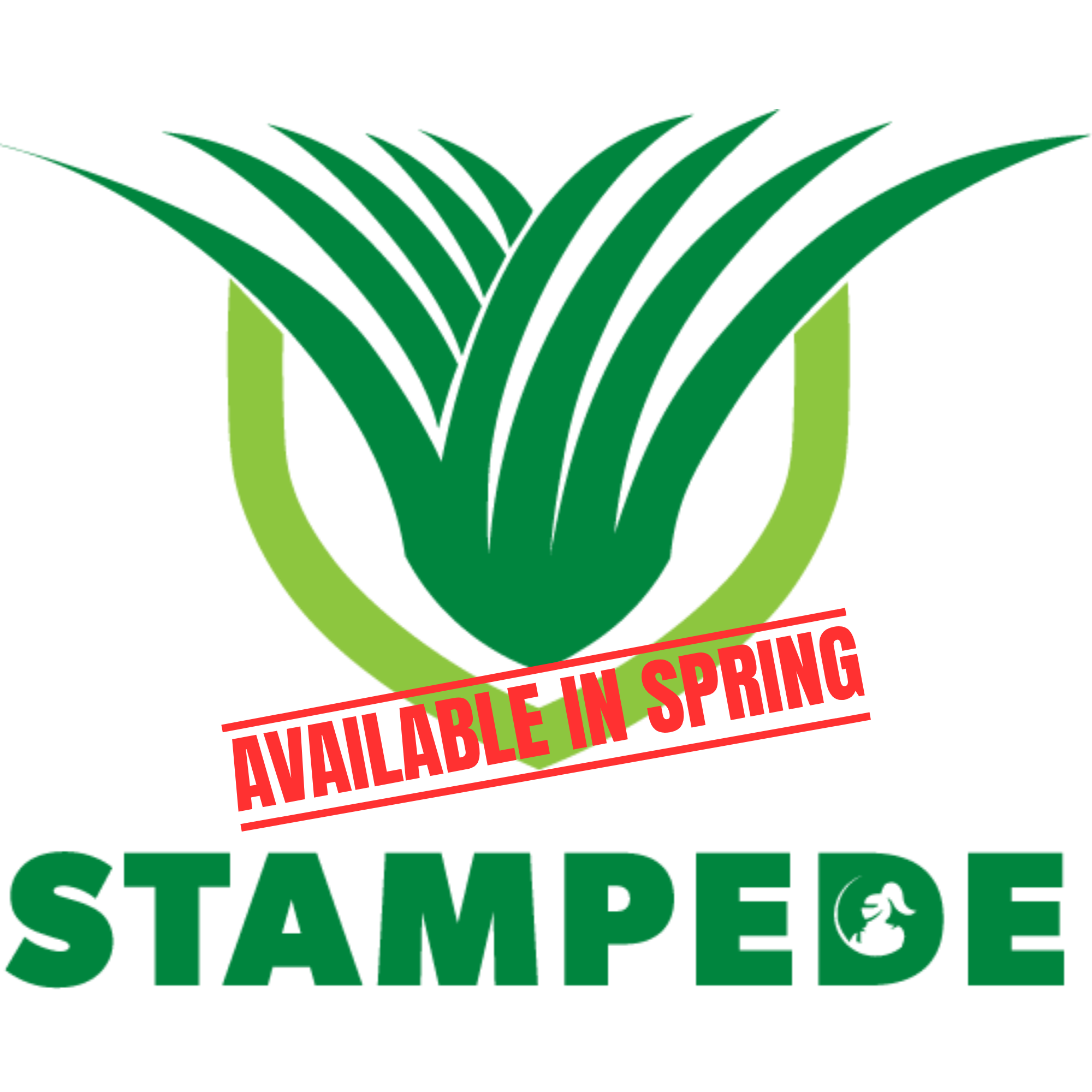 Stampede Hybrid Buffalo