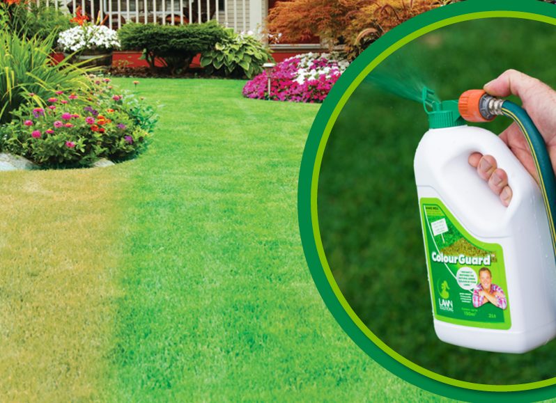 Instantly Green Your Lawn