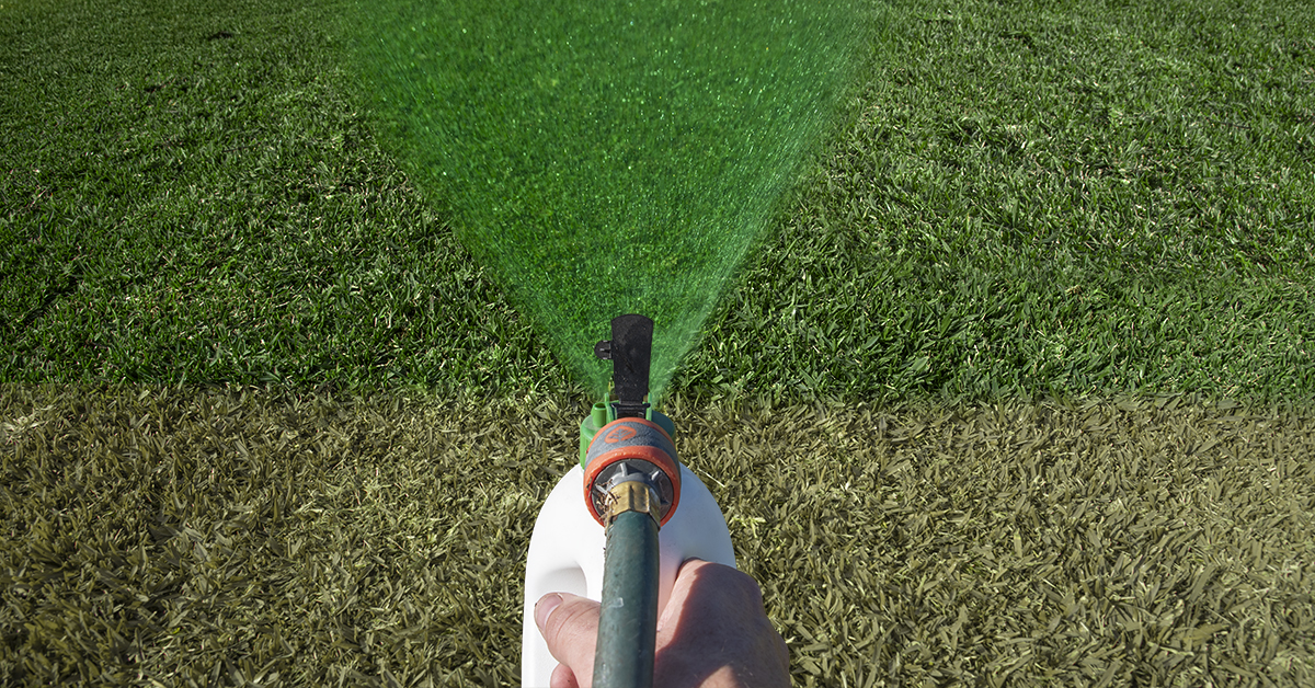 A Pro’s Guide to Turf Pigmentation | ColourGuard Plus