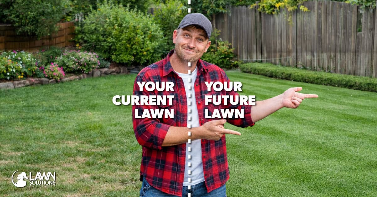 How Simple Changes Now Can Help Your Lawn in Winter
