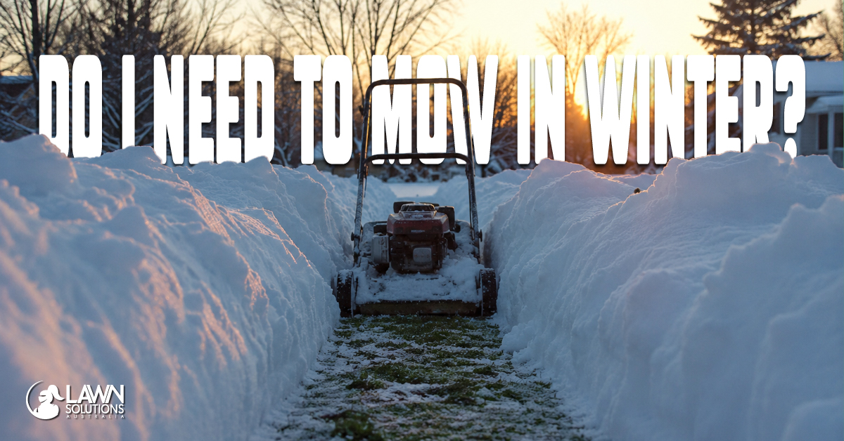 Do I Need to Mow in Winter?