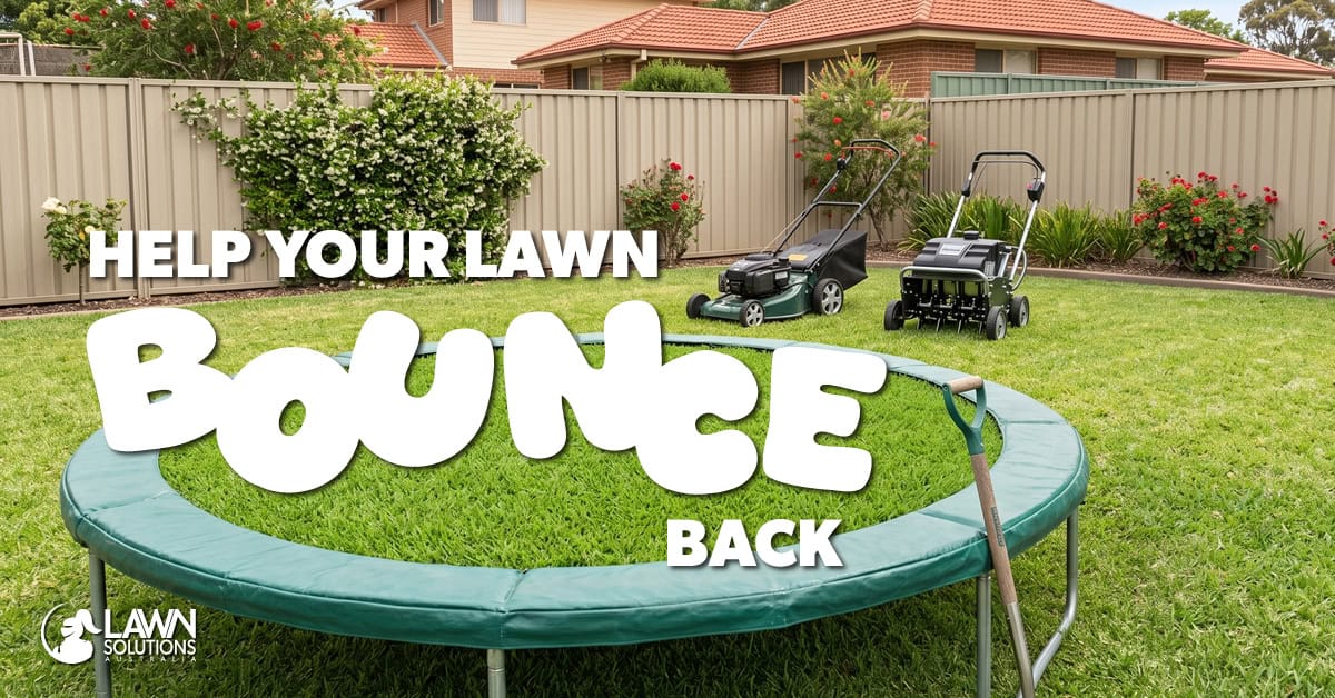 How to Help Your Lawn Bounce Back into Action