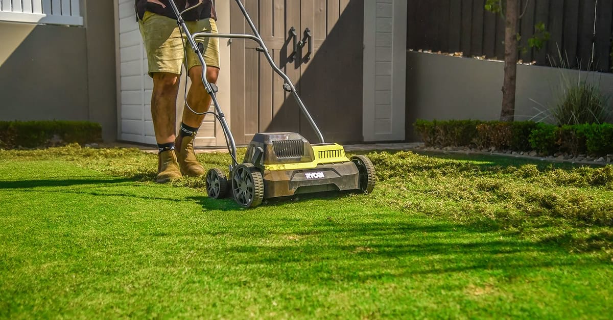 How to Dethatch Your Lawn