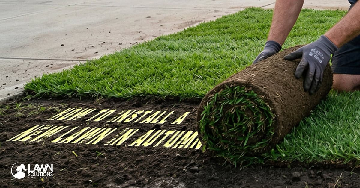 Can I Install a New Lawn in Autumn?