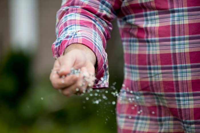 Is Autumn the time to fertilise my lawn?