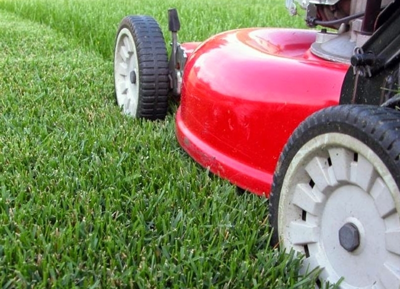 Ultimate Guide to Mowing Your Lawn