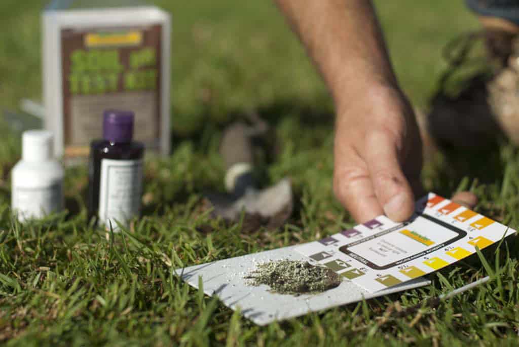 How to test your soils pH level