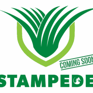 Stampede Hybrid Buffalo