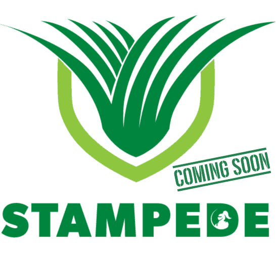 Stampede Hybrid Buffalo