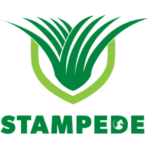 Stampede Hybrid Buffalo