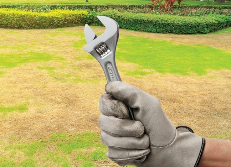How to Help Your Lawn Repair After Grub Damage