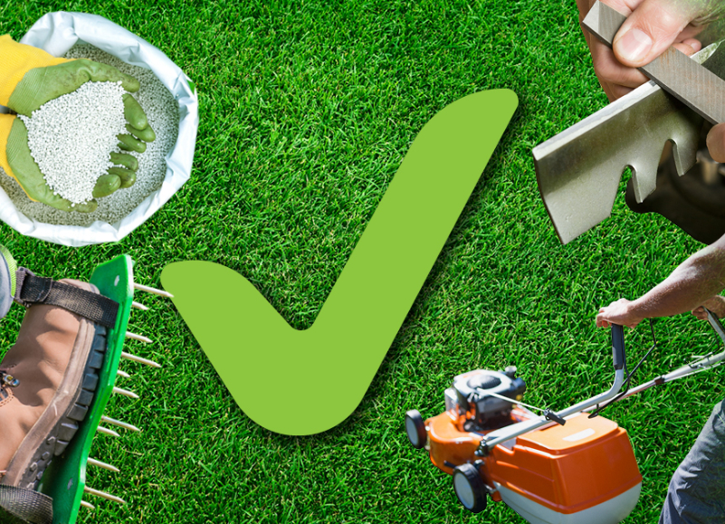 4 Spring Lawn Care Tips